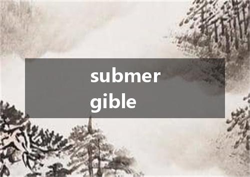 submergible是什么意思