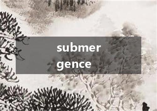 submergence是什么意思