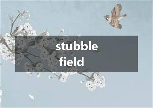 stubble field是什么意思