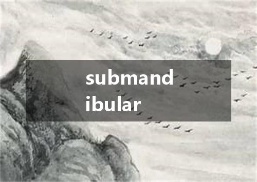 submandibular是什么意思