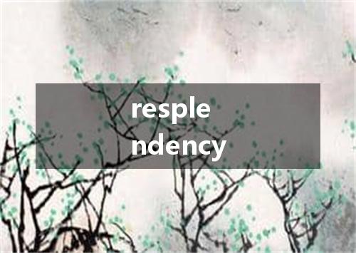 resplendency是什么意思
