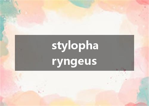 stylopharyngeus是什么意思