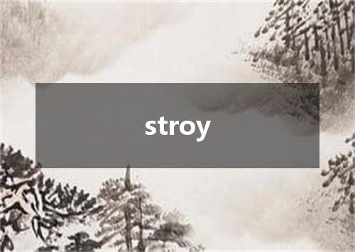 stroy是什么意思