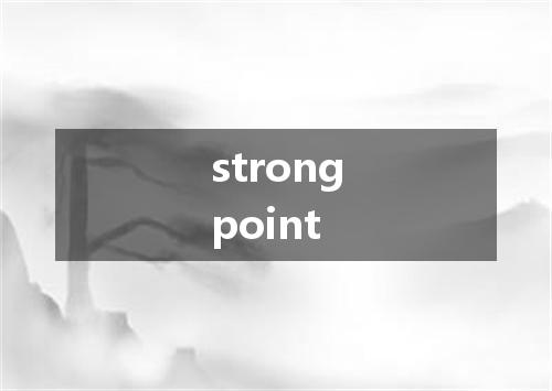 strongpoint是什么意思