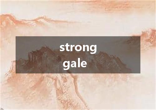 strong gale是什么意思