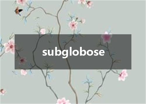 subglobose是什么意思