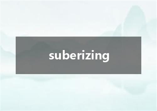 suberizing是什么意思