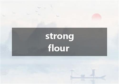 strong flour是什么意思