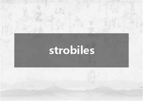 strobiles是什么意思