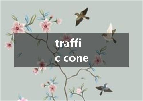 traffic cone是什么意思