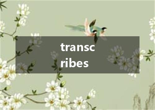 transcribes是什么意思