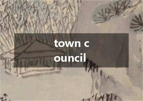 town council是什么意思