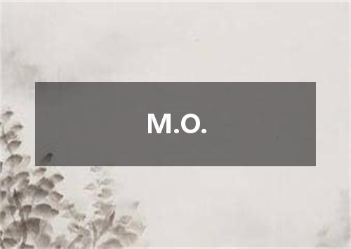 M.O.是什么意思