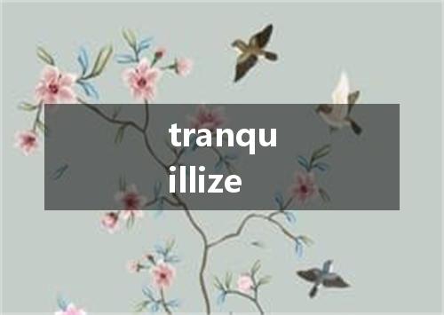 tranquillize是什么意思