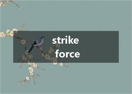 strike force是什么意思