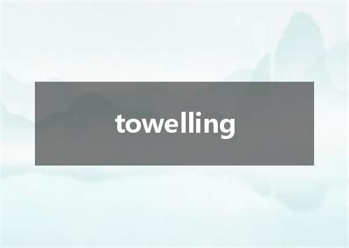 towelling是什么意思