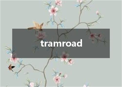 tramroad是什么意思