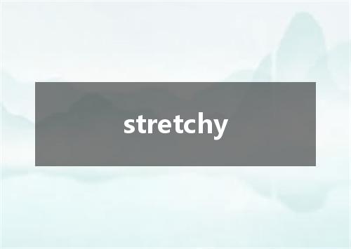 stretchy是什么意思