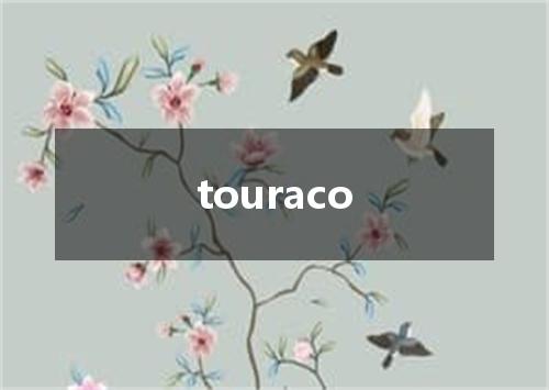 touraco是什么意思