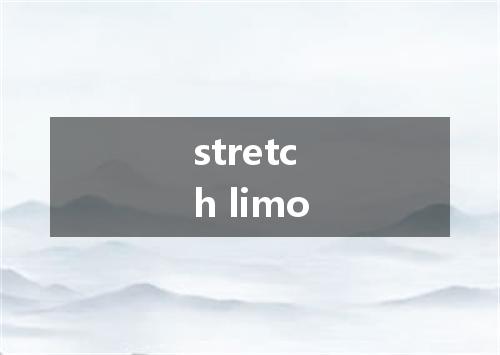 stretch limo是什么意思
