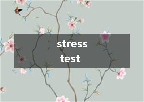 stress test是什么意思