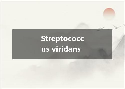 Streptococcus viridans是什么意思