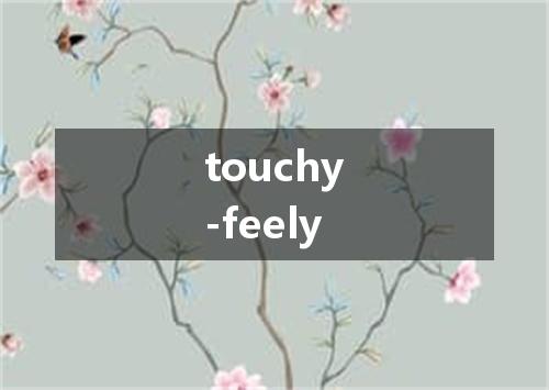 touchy-feely是什么意思