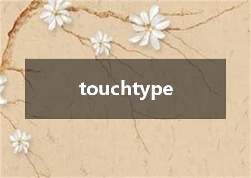 touchtype是什么意思