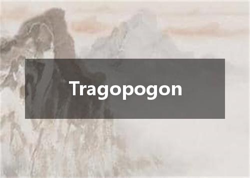 Tragopogon是什么意思
