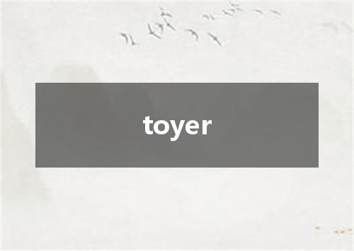 toyer是什么意思