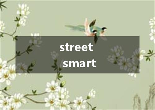 street smart是什么意思