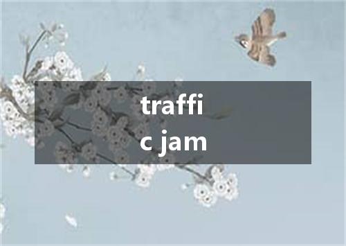 traffic jam是什么意思