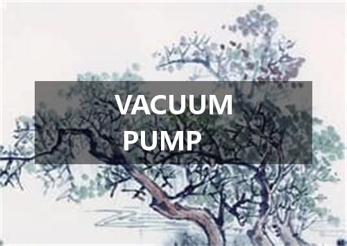 VACUUM PUMP是什么意思