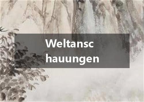 Weltanschauungen是什么意思