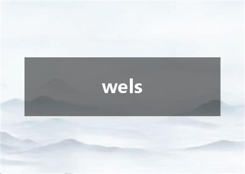 wels是什么意思