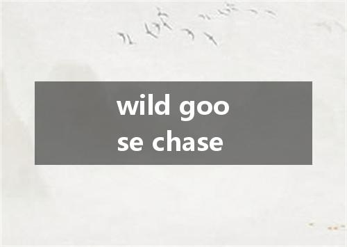 wild goose chase是什么意思