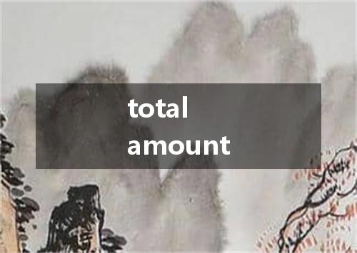 total amount是什么意思