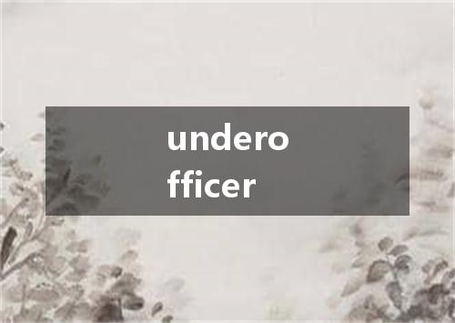 underofficer是什么意思