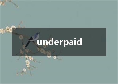 underpaid是什么意思