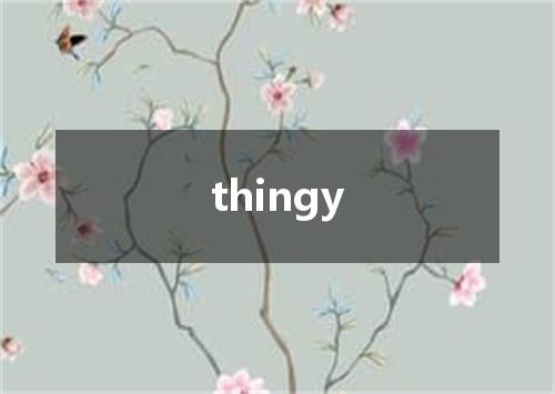 thingy是什么意思