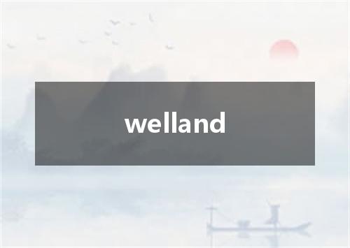 welland是什么意思