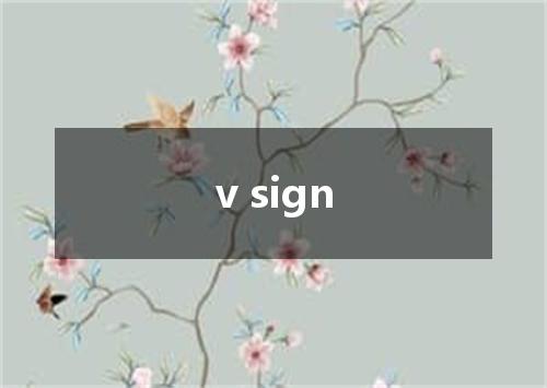 v sign是什么意思