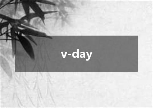 v-day是什么意思
