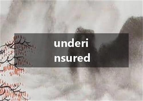 underinsured是什么意思