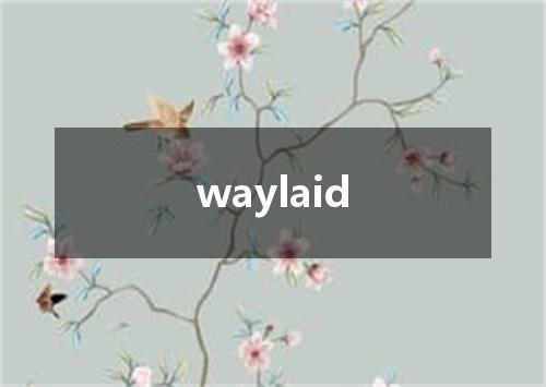 waylaid是什么意思