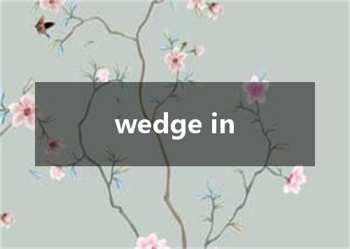 wedge in是什么意思