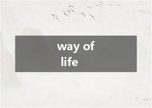 way of life是什么意思
