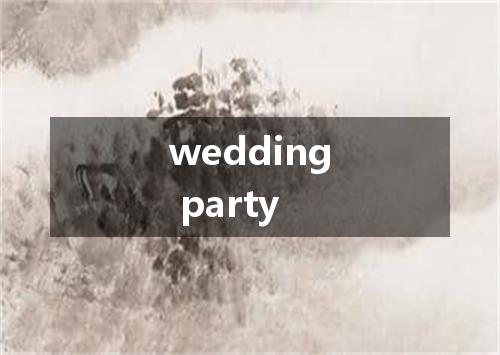 wedding party是什么意思