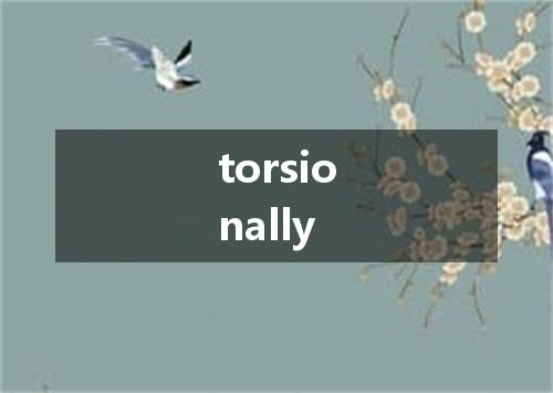 torsionally是什么意思