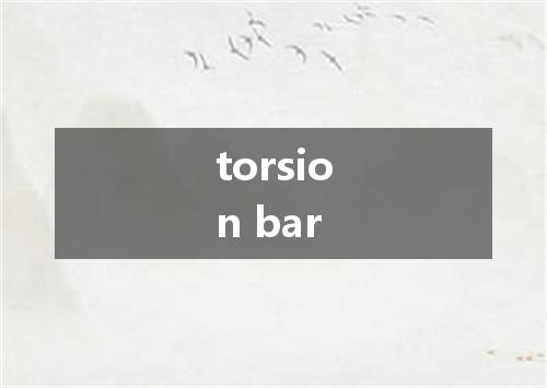 torsion bar是什么意思